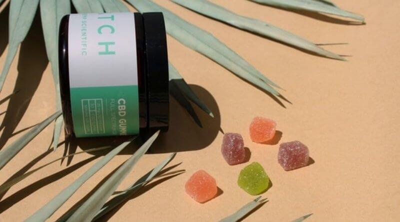 Should You Take CBD Gummies As Your Primary Medication