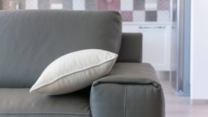 6 High-Quality Sofas for a Renovated Living Room