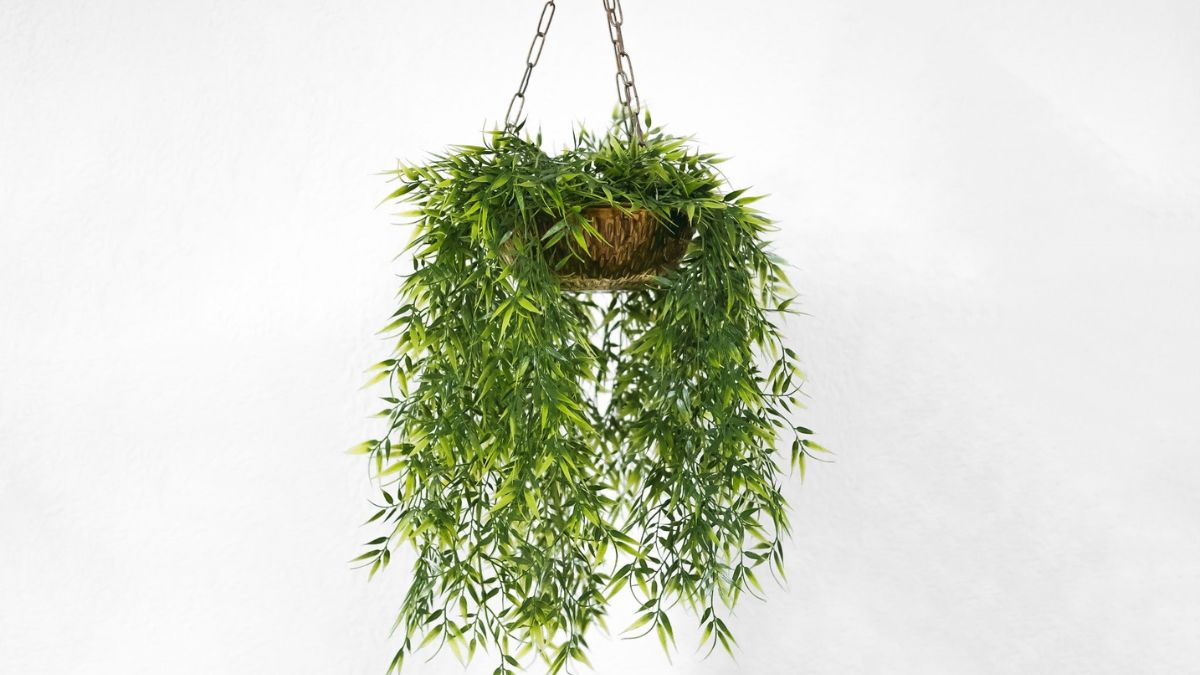 Fake Hanging Plants