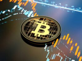 How Can Bitcoin System Help With Your Crypto Trading