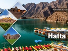 Best Route To The Town For Hatta Tour from Dubai