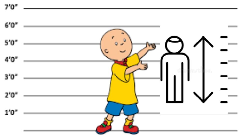 How Tall is Caillou? Complete Guide in 2022 - Blogili