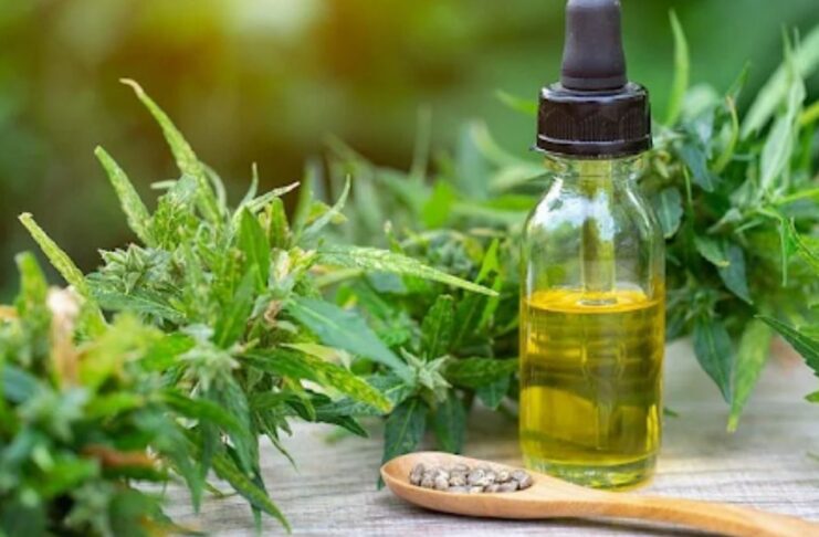 What is CBD Hemp Oil and Is It Good for Arthritis