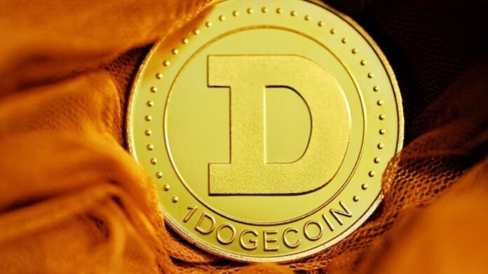 Why Punters Love To Wager On The Best Dogecoin Sports Betting Sites