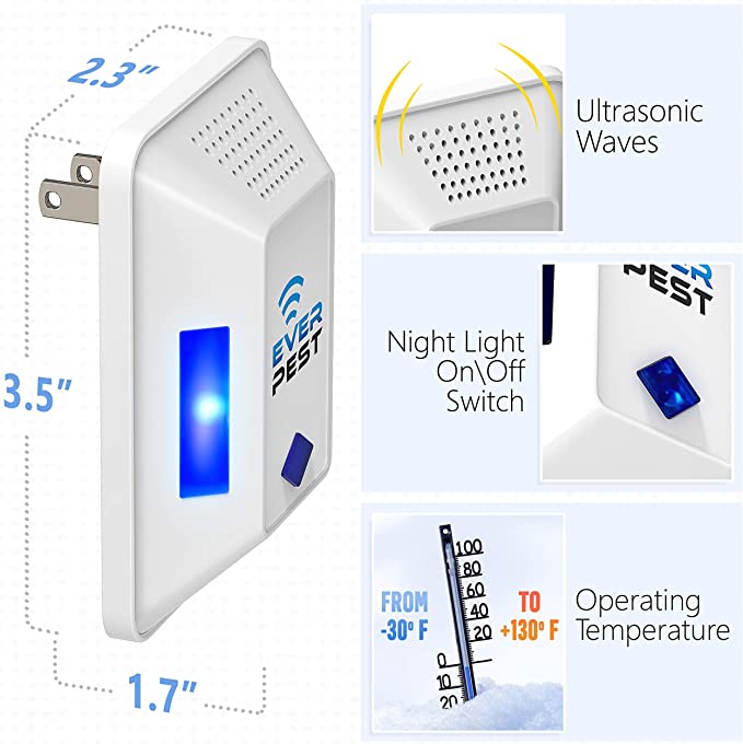 Discounted Price, Different Offers: Which Product to Choose?