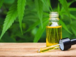 An introduction to CBD oil Benefits and Potential Side Effects
