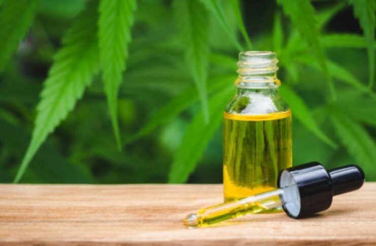 An introduction to CBD oil Benefits and Potential Side Effects
