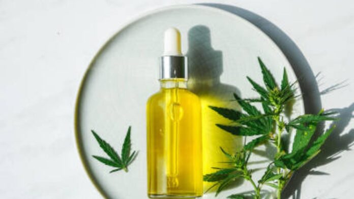 Are CBD oil and Hemp Oil the Same Thing