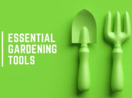 The Essential Gardening Tools