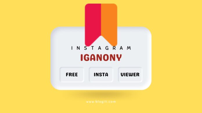 IgAnony Free Instagram Story Viewer