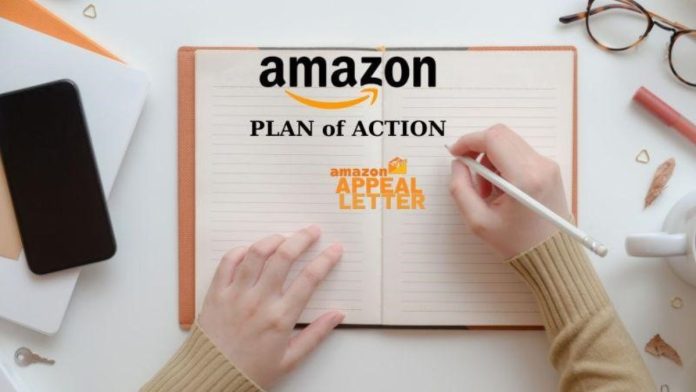 Tips on Writing a Successful Amazon Plan of Action (POA)