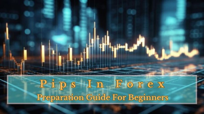 What Are Pips In Forex Preparation Guide For Beginners