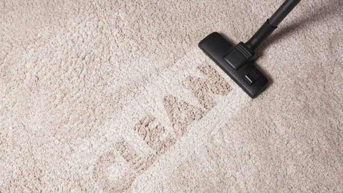 Essential Insights for Hiring a Carpet Cleaner