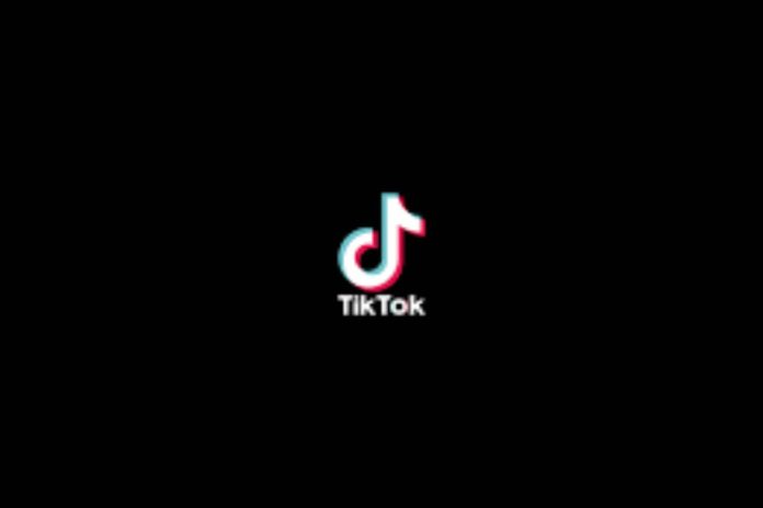 Unlocking the Secrets How to Download TikTok Videos Like a Pro