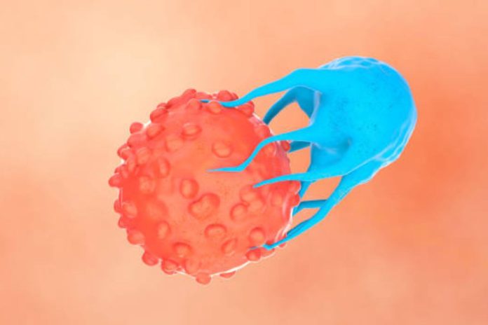 CAR T Cell Therapy Market A Dive Into The Emerging Market