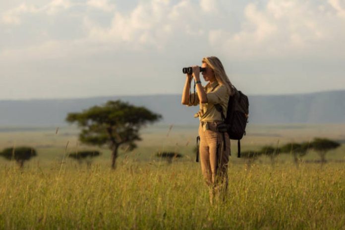 Essential Tips for a Memorable Kenya Safari Tour