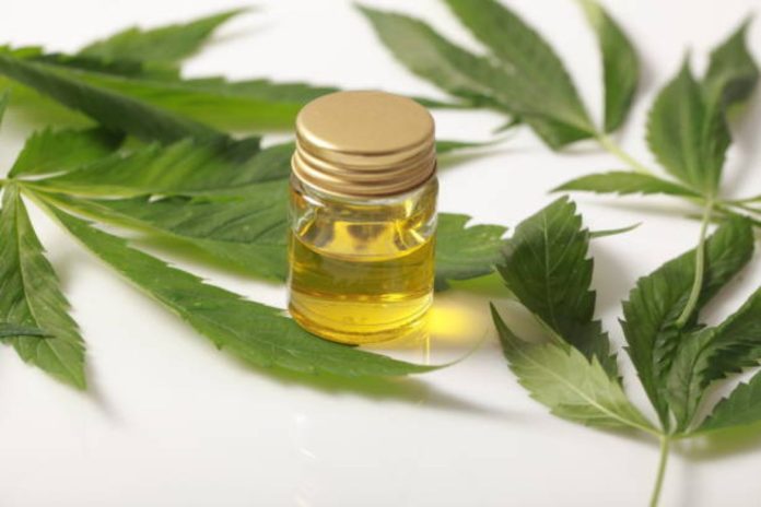 Discovering Full Spectrum CBD Oil A Holistic Approach to Wellness