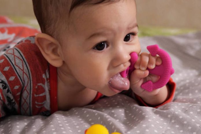 Discovering the Best Teething Toys A Guide for Parents