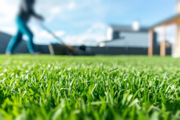 Customized Lawn Care Solutions How Lawn Doctor Services Can Transform Your Outdoor Space