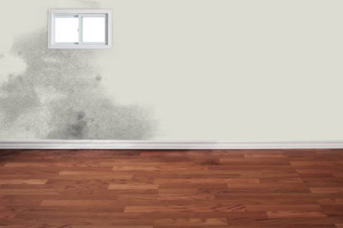 Water Damage Restoration Tips for Homeowners What You Can Do