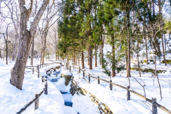 How to Protect Your Fence from Winter