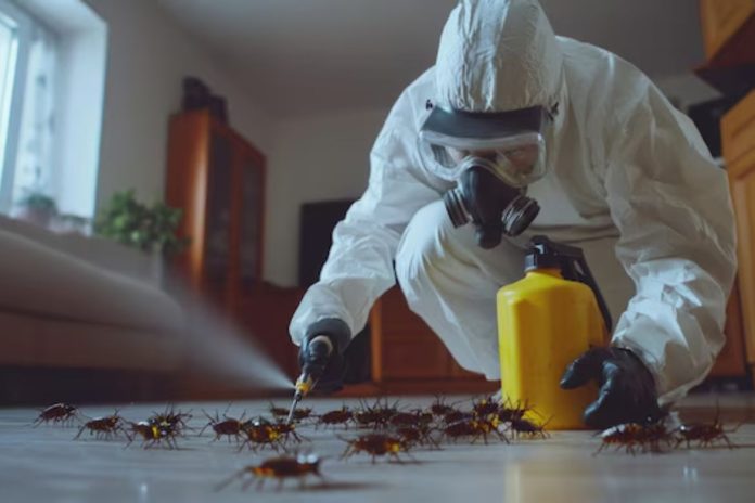 How Does Pest Control Help in Ant Infestations