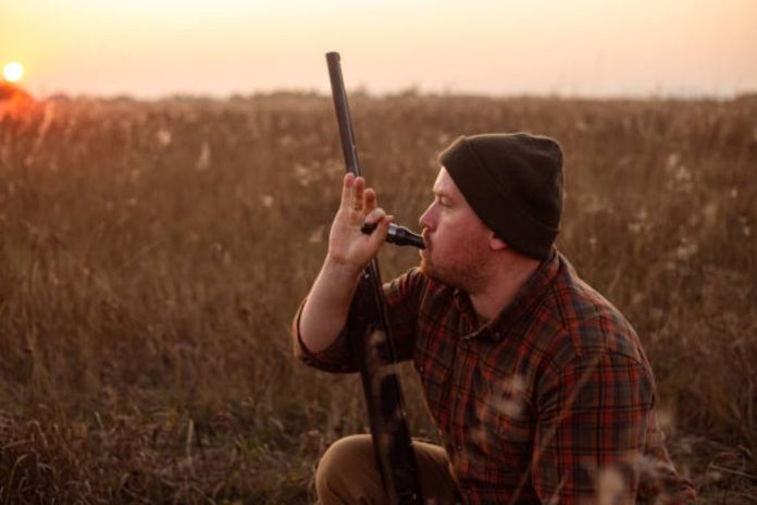 The Best Duck Calls for Beginners Start Calling Like a Pro